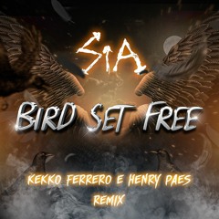 Sia - Bird Set Free (Kekko Ferrero & Henry Paes Remix) #FREEDOWNLOAD