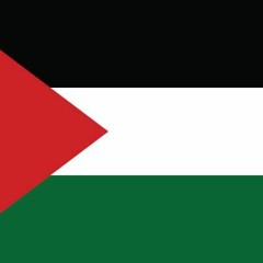 Palestinian Surviving Freestyle