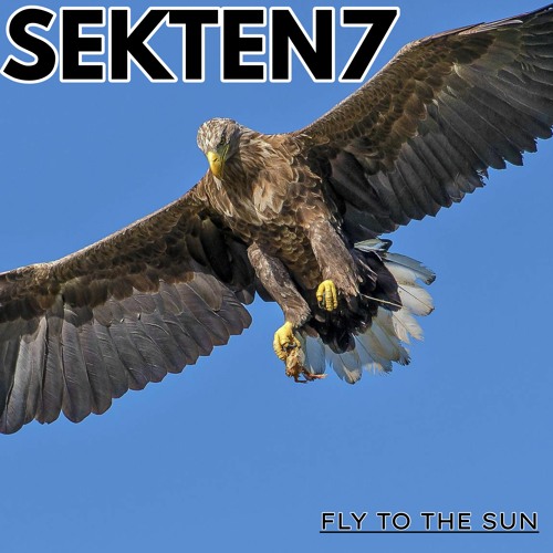 SEKTEN7 - FLY TO THE SUN