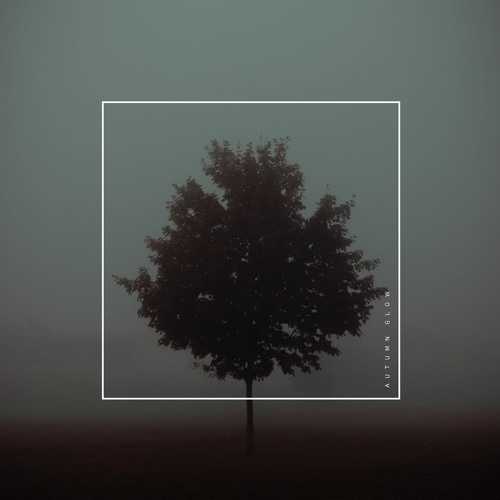 Autumn Glow // Void