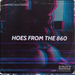 HOES FROM THE 860 - 860FAYGO FT SLIMLUV