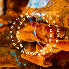 ODISSOUND PODCAST 45 / OCELO