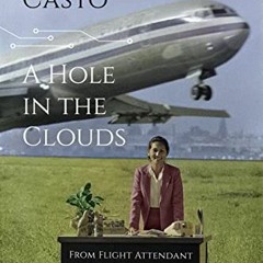 free EBOOK √ A Hole In The Clouds: From Flight Attendant to Silicon Valley CEO by  Ma