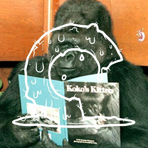 Criterion Creeps Episode 293: Koko: A Talking Gorilla