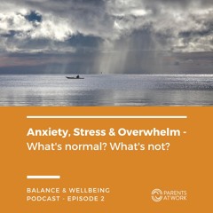 2. Anxiety, Stress & Overwhelm - Episode 2