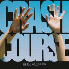 Blu DeTiger & Biig Piig - Crash Course (Yusuf Hanay Remix) *FREE DOWNLOAD*