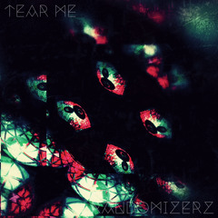 Randomizerz(K-forest&Y) - Tear Me
