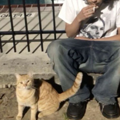 cocinandote - agustinlucas