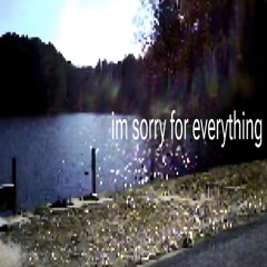 im sorry for everything