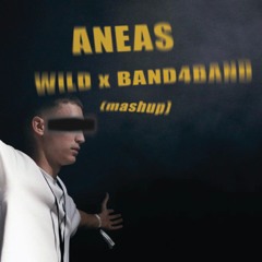 James Hype X Central Cee - Wild X BAND4BAND (Aneas VIP Mashup)