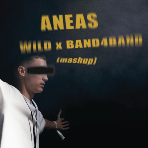 James Hype X Central Cee - Wild X BAND4BAND (Aneas VIP Mashup)