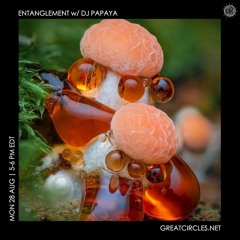 Entanglement w/ DJ Papaya28Aug2023