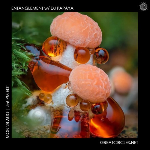 Entanglement w/ DJ Papaya28Aug2023