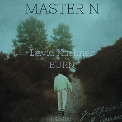 David Kushner - Burn (REMIX)