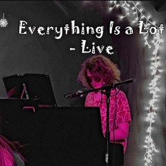 Everything Is a Lot (Cover) - Live at Rebel Stages