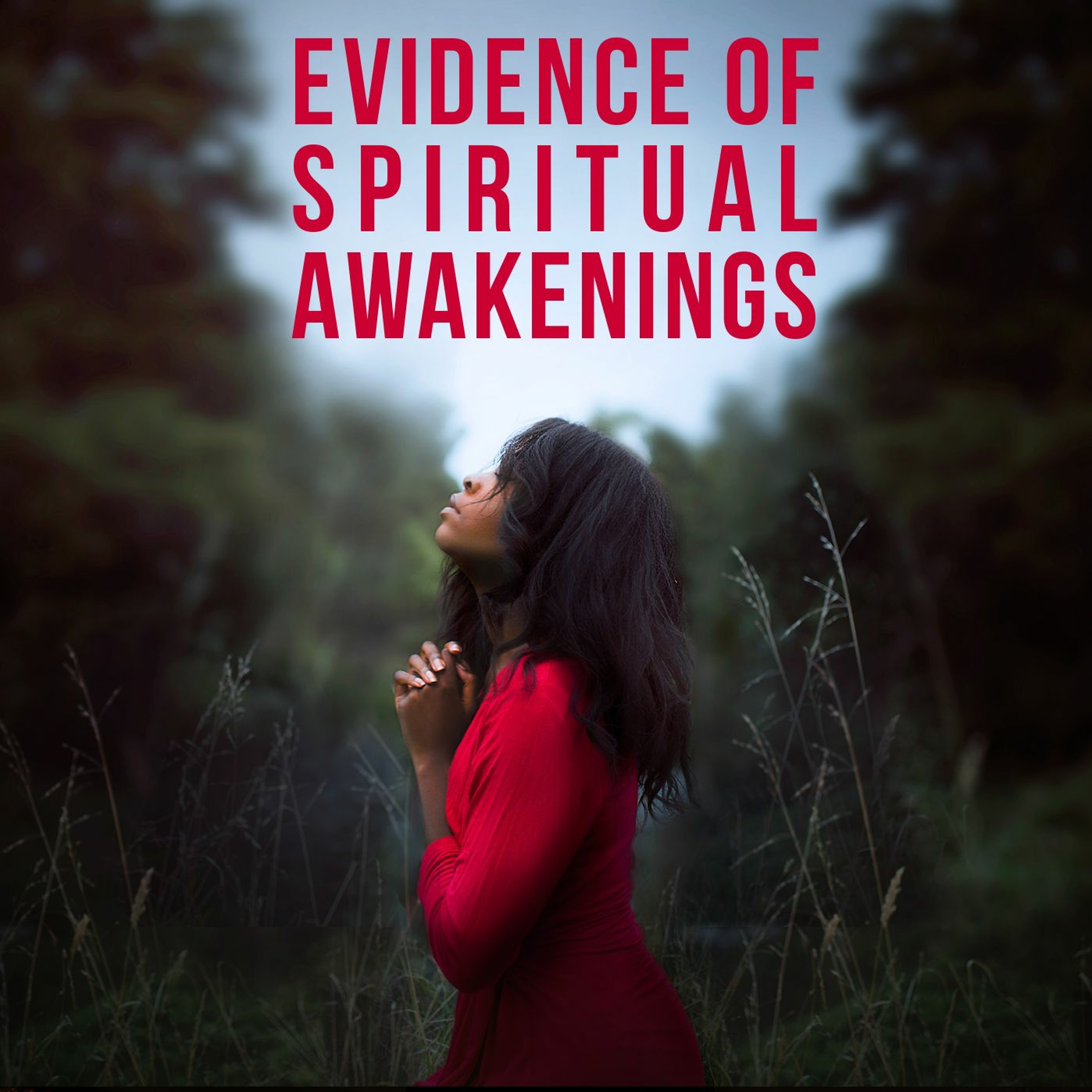 Evidence of Spiritual Awakenings episode artwork