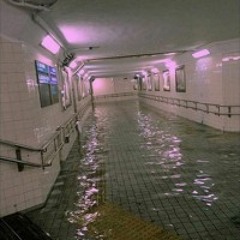 skell - wawa [90 lilodmv]