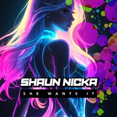 Shaun Nicka - She Wants It (Ayo Technology)