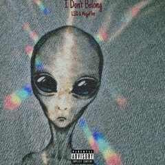 I Don't Belong(MegaFlex & LSD)