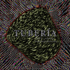 LLLIT - Tuberia (Gambusia Remix) Preview