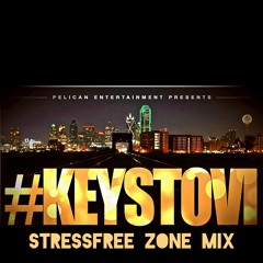 StressFree Zone Mixx(2021)