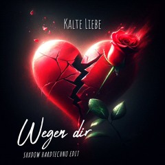 Kalte Liebe - Wegen Dir (SHXDOW HARDTECHNO EDIT)