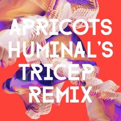 Bicep - Apricots (Huminal's Tricep Remix)[Free Download]