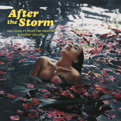 After The Storm (feat. Bootsy Collins & Tyler, The Creator)