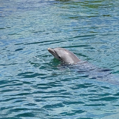 Love Style Beat90bpm FINAL