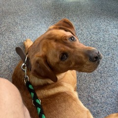 06.09.24_Miros Playlist_Volume 4_Live in Puglia