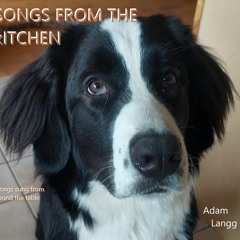 Songs From The Kitchen - Album 1 - Songs Sung From Around the Table