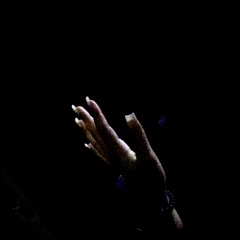 Untitled playlist