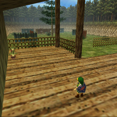 Cucco Shack