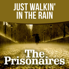 Just Walkin' In The Rain (Alternate Version)