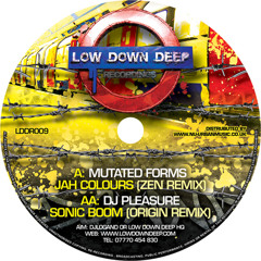 Jah colours (Zen Remix)