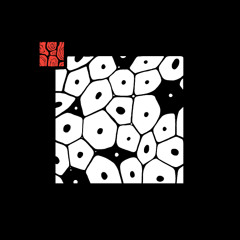 Owl - Among The Shadows [HNL026]