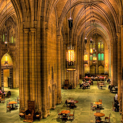 dreamS douji feva loop