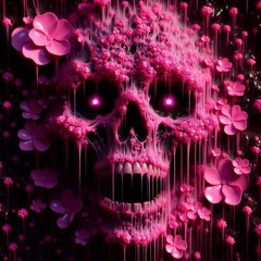 Pretty Little Lies++