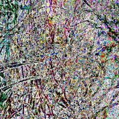 unattained quiet
