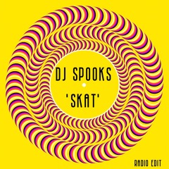 DJ Spooks - Skat - Radio Edit