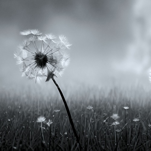Longing for spring rain