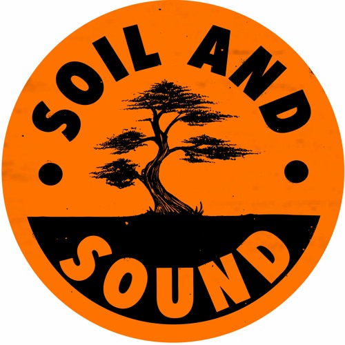 SASDUB12: Maes & Masis - What Do We Dub / Treadin' 10" (clips)