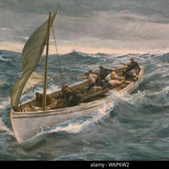 Tiny Junket in a Dark Sea