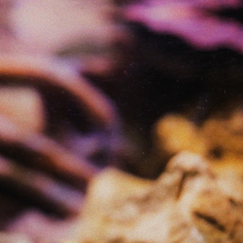 Fresko - Inner Funk EP Preview