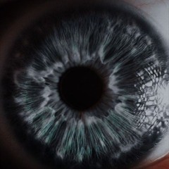 LEON YARA - Never, Forever - TEST FOR AN EVENT