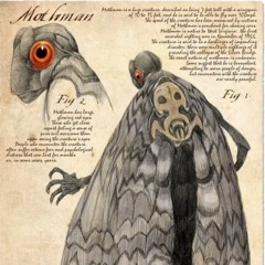 Mothman (PROD. ZAMORA )