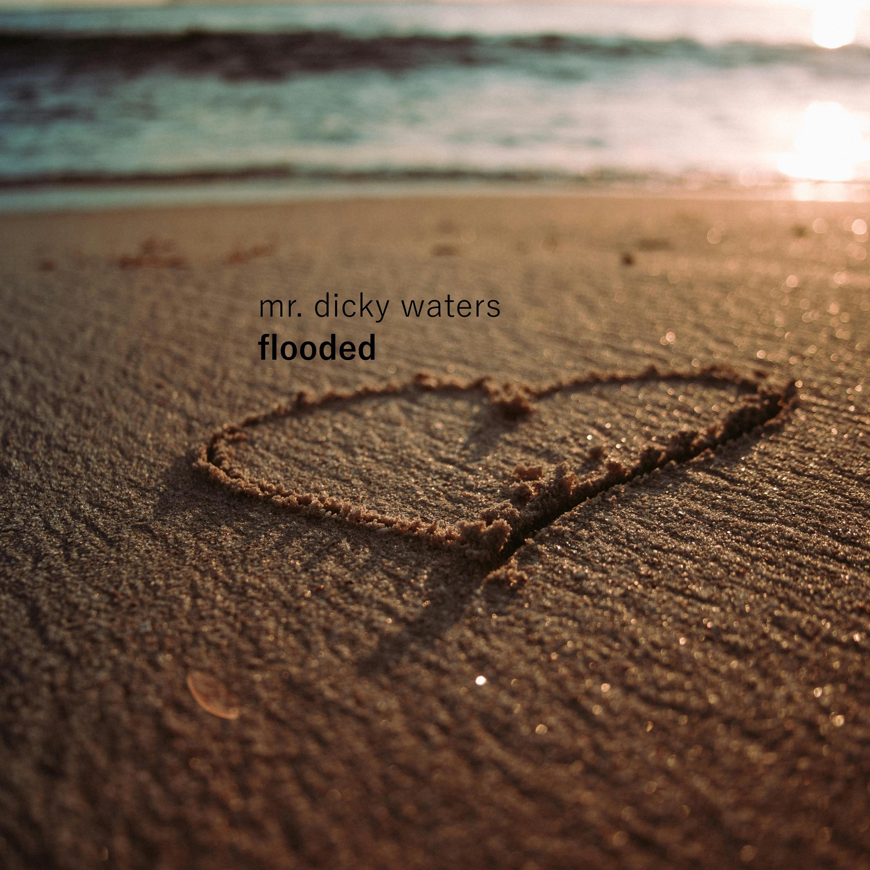 The Music Of Mr Richard Waters