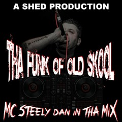 Tha Funk Of Old Skool steely in the mix