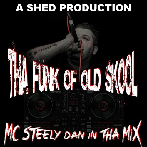 Tha Funk Of Old Skool steely in the mix