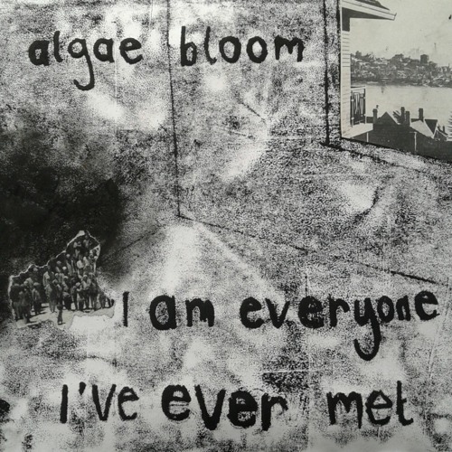 algae bloom - Thorns